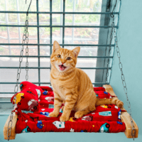 Indoor Cat Hammock Bed | Wooden Frame & Hanging Chains for Window, Wall