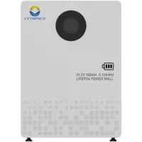 LVTOPSUN 51.2V 100Ah 5.12kWh Lithium Iron Phosphate Battery