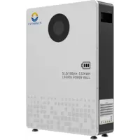 LVTOPSUN 51.2V 100Ah 5.12kWh Lithium Iron Phosphate Battery