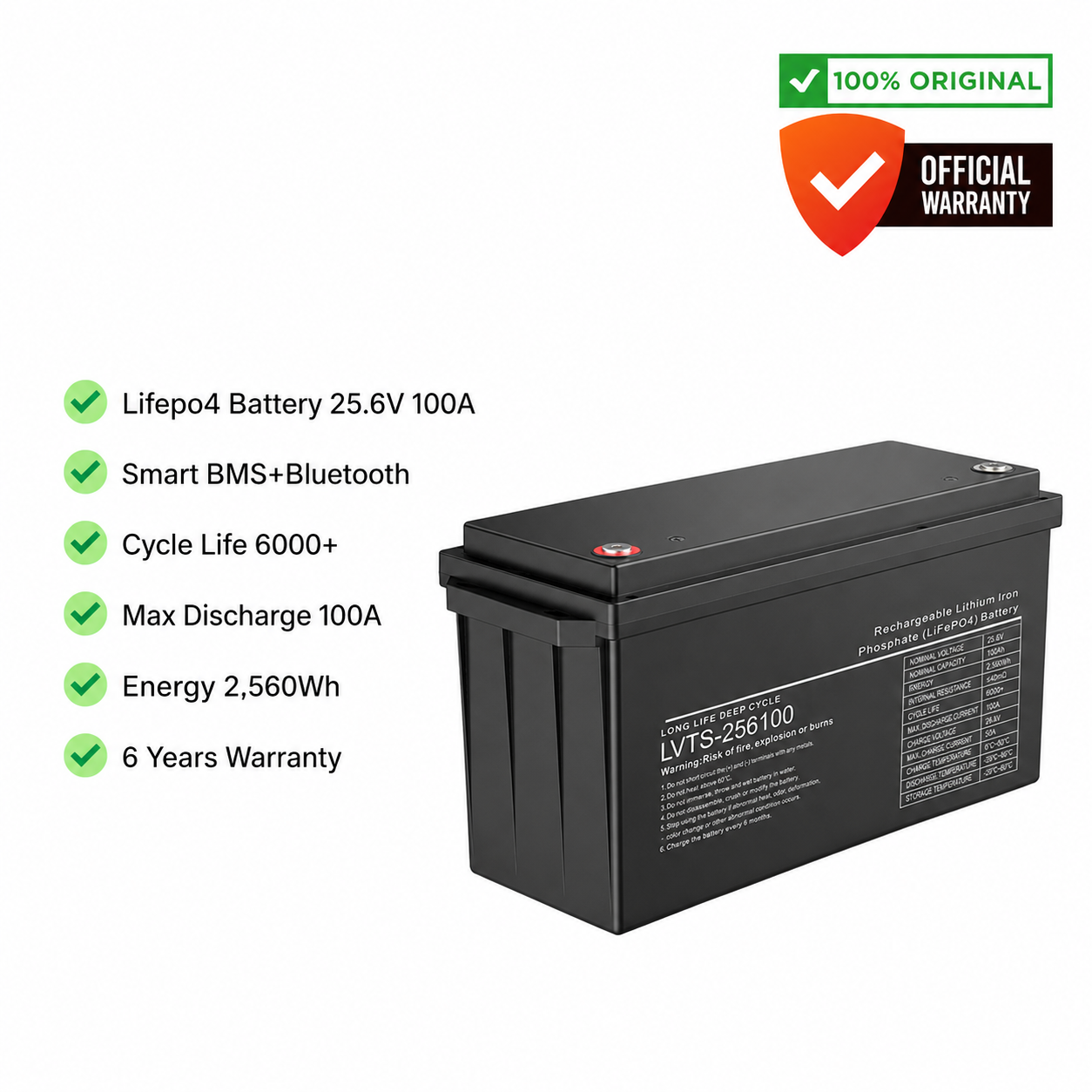 LVTOPSUN 25.6V 100Ah 2.56 kWh Lithium Iron Phosphate Battery (ABS Case)
