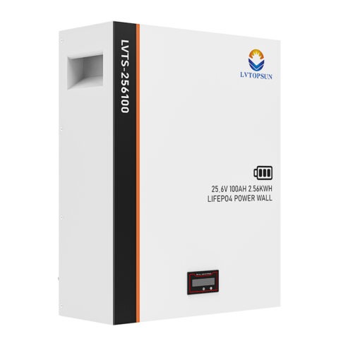 LVTOPSUN 25.6V 100Ah 2.56 kWh Lithium Iron Phosphate Battery